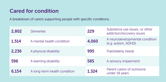 Infographic showing breakdown of cared for condition