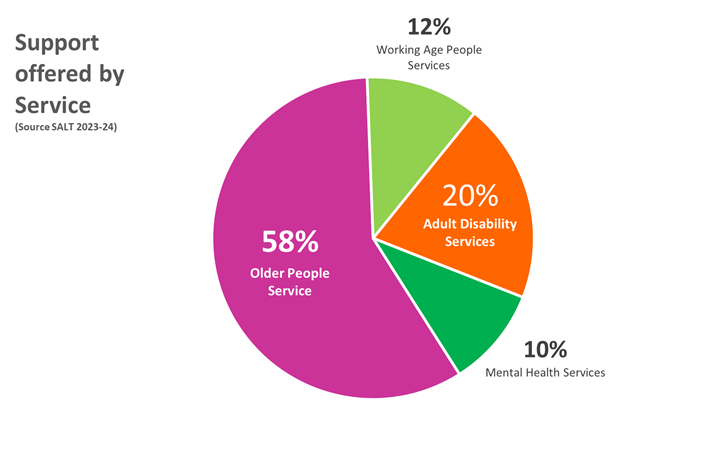 Support offered by service pie chart